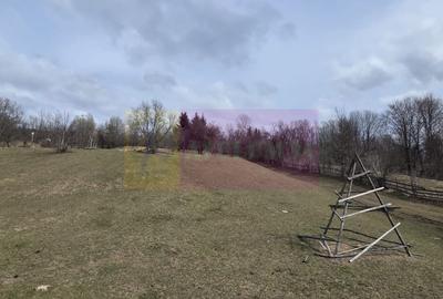 Teren intravilan 2200 mp de vanzare in Valea Doftanei - 2