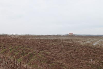 Teren 4000 mp lângă Pădurea Petrești | Investiție dezvoltare | Corbeanca - 3