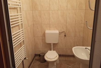 Spațiu comercial versatil, curte proprie și parcare, Biharia - 9