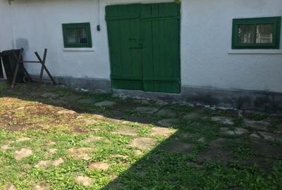 Casa 216mp cu vie si livada, 2500 mp teren – Horodistea, comuna Cotnari, Iasi - 4