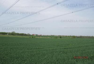 Teren extravilan, com. Frumusani, Calarasi - 1