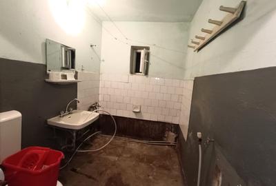 Apartament 2 camere | Cetate | Parter | Beci + Debara | 50 MP - 4