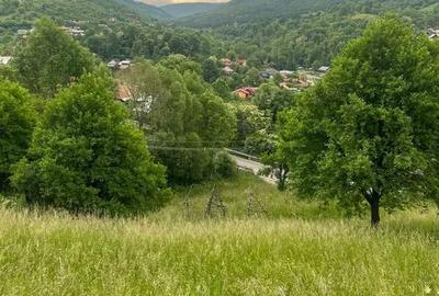 TEREN DE VANZARE VALEA DOFTANEI - 1