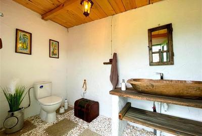 Casa de vanzare in Nufaru - 24