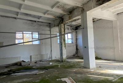 Vanzare sau inchiriere Cladire cadre beton  743 mp Movila Miresii teren 7354 mp - 3