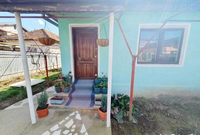 Casa+Teren aferent si Anexe, Str. Petresti - 4