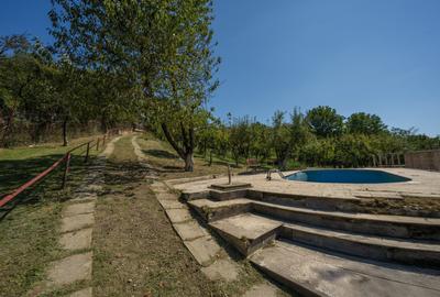 Casa de vacanta cu teren 5394 mp, Pucioasa, Dambovita - 15