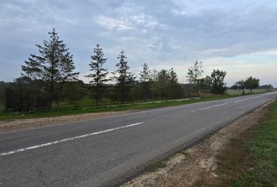 LIVADA  DE VANZARE FOCSANI-DUMBRAVITA  1,8  HA - 28