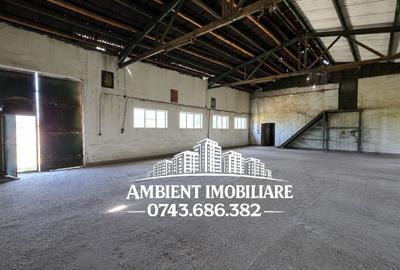 HALĂ DEPOZITARE sau ATELIER, teren 310 mp, VASLUI - zona Industrială; - 3