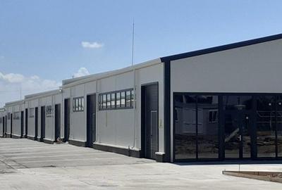 Hale cu suprafete intre 100-300mp in zona Drumul Intre Tarlale - 8