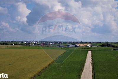 Teren 9,400 mp intravilan Nuci Ilfov - 3