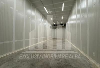 Spatiu industrial frigorific | 1200 mp | 8 m inaltime | 6000 mp teren - 5