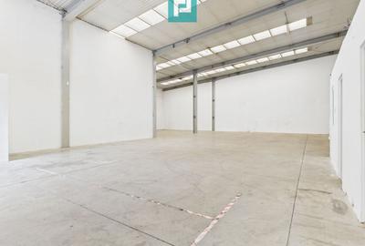 Spațiu industrial de 378 mp în Arad - 9