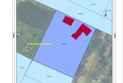 Casă + teren 2188 mp aproape de Lacul Gălățui, Alexandru Odobescu, Călărași - 7