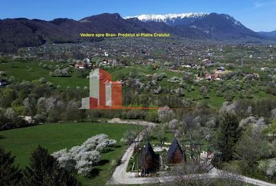 2  A-Frame | Bran Sohodol| 2 cabane | Teren 3.812 mp | Operațional | - 14