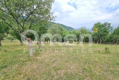 Teren de vânzare | Suprafață 10.040 mp | 2.500 € / ar | Strada Nucului - 6