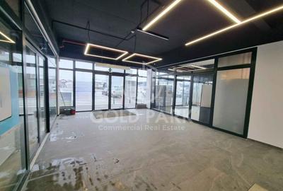 Spatiu Comercial in Centru Comercial - Zona Traian Vuia - Parcare - 9