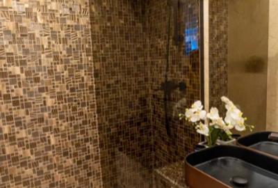 Apartament LUX UltraCentral - Natiunile Unite / Unirii - 4