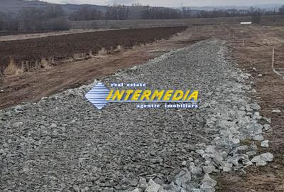Parcele de Teren Intravilan Alba Iulia Zona Partos suprafete 615 -700 mp - 2