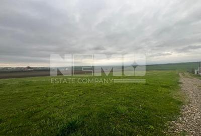 Teren De Vanzare 800mp I Moara, Suceava I Preț: 45.000 Euro - 5