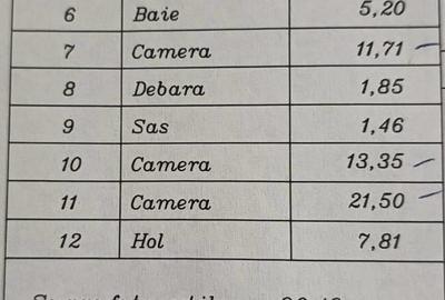 OPORTUNITATE ! Apartament 4 Camere de Vanzare Cismigiu - Berzei - 12