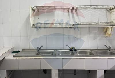 Casă / Vilă cu 8 camere de vânzare în zona Central - 20