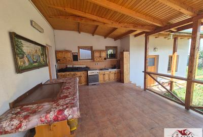 Casa de vanzare in Ocna Mures - 10