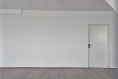 Inchiriere depozit/hala/spatiu industrial Chiajna - Chitila - Rudeni - 11