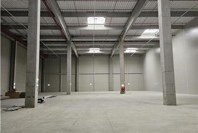 Spatiu Industrial - 3500 mp - Logistica - Productie - Depozitare - Distributie - 12
