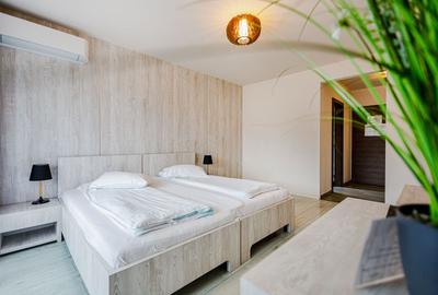 De vanzare pensiune in Sasca Montana - clasificare 3 margarete - 25