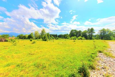 Teren intravilan 1000 mp, Valea Avrigului - 2