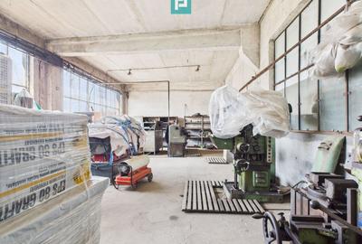 Complex industrial cu hale și teren  în Orțișoara - 39