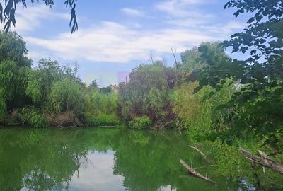 Cea mai frumoasă casă din zona Pipera - Băneasa - 43