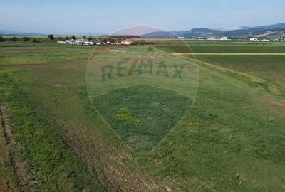Teren 39,500mp Vintu de Jos - 2