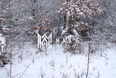 Super oferta I teren intravilan de vanzare in Cisnadie - 6