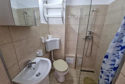Apartament cu 1 camera de inchiriat zona Sp de Ortopedie - 9
