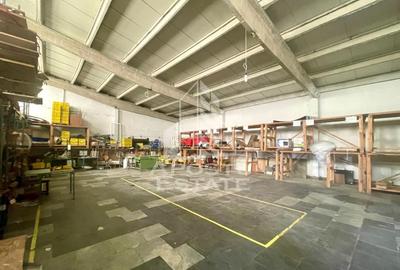 Spatii productie si depozitare, zona Sebis - Prunisor-Carand - 7