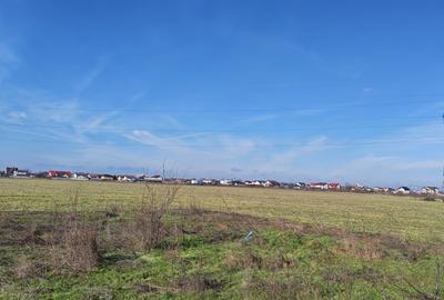 OFERTĂ VÂNZARE TEREN INTRAVILAN – MĂGURELE, STRADA STEJARULUI - 6