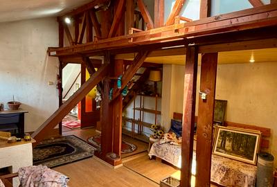 Domenii, str. Caraiman - 29