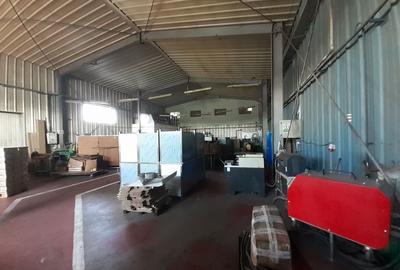 Birouri, hala si teren situate la sosea, zona Magurele, sector 5 - 24