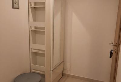 Mountain View, 3 camere, mobilat si utilat - 10