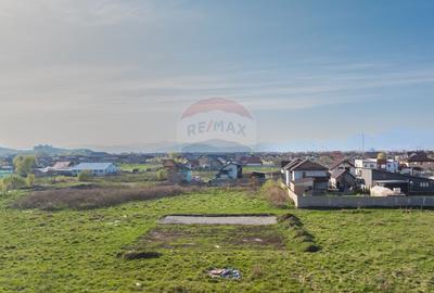 Teren Sanpetru, str Armoniei, 539mp, cu proiect casa si avize in lucru - 2