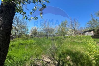 Casa bunicilor, cu gradina, Lera, Buzau! - 15