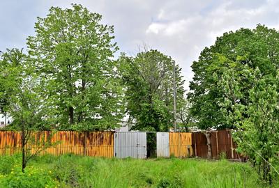 Vanzare teren intravilan 730mp Baneasa – Vatra Noua - Strada Cernesti, nr. 22 - 3