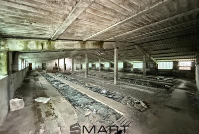 Hală industrială în Prejmer – 470 mp + curte 500 mp - 7