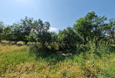 Teren langa lac - 40 km de Bucuresti - 6