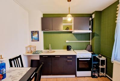 Garsonieră spațioasă de închiriat–zona Decebal / Piața Muncii Prima Inchiriere - 6