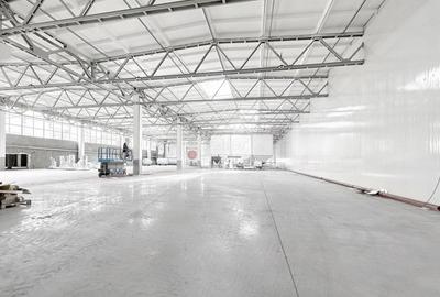 Depozitare - Logistic - Mica productie - 4