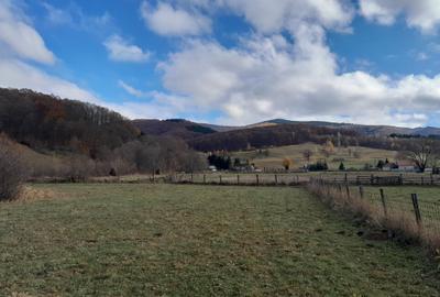 Teren Intravilan Ideal Pt Casa de Vacanta ,Valea Dobarlaului