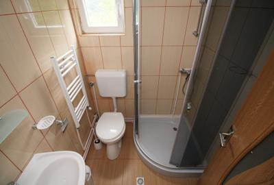 Vila Sinaia 8 camere | garaj | acces usor - 9